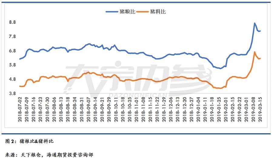 今日全国猪价表，市场动态与影响因素深度剖析