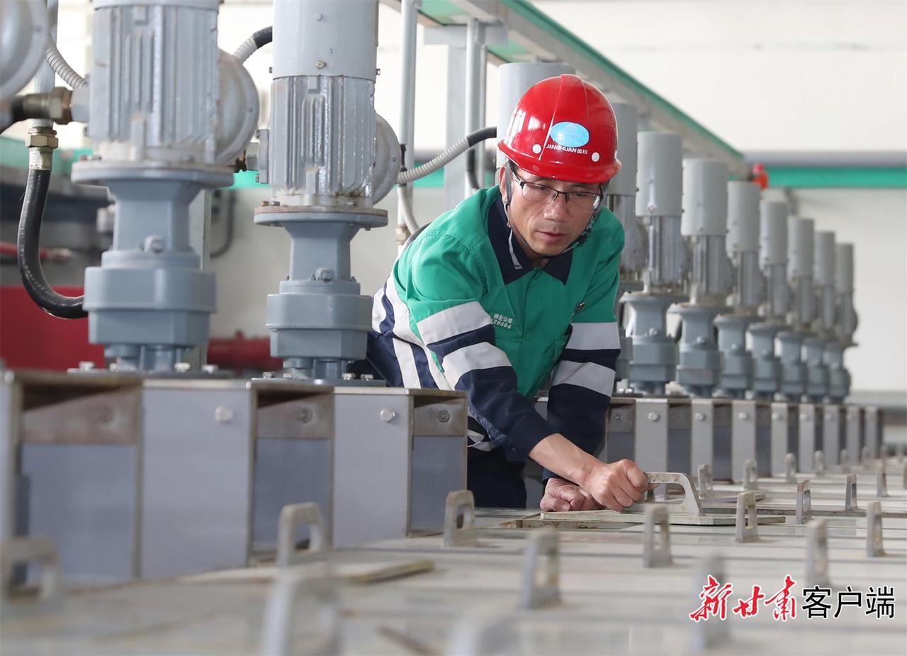 铂钯铑贵金属行情，市场动态与投资策略解析