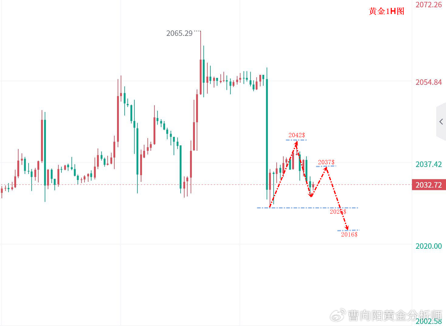 2024年投资策略，纸黄金的机遇与风险