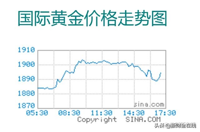 投资策略与市场动态