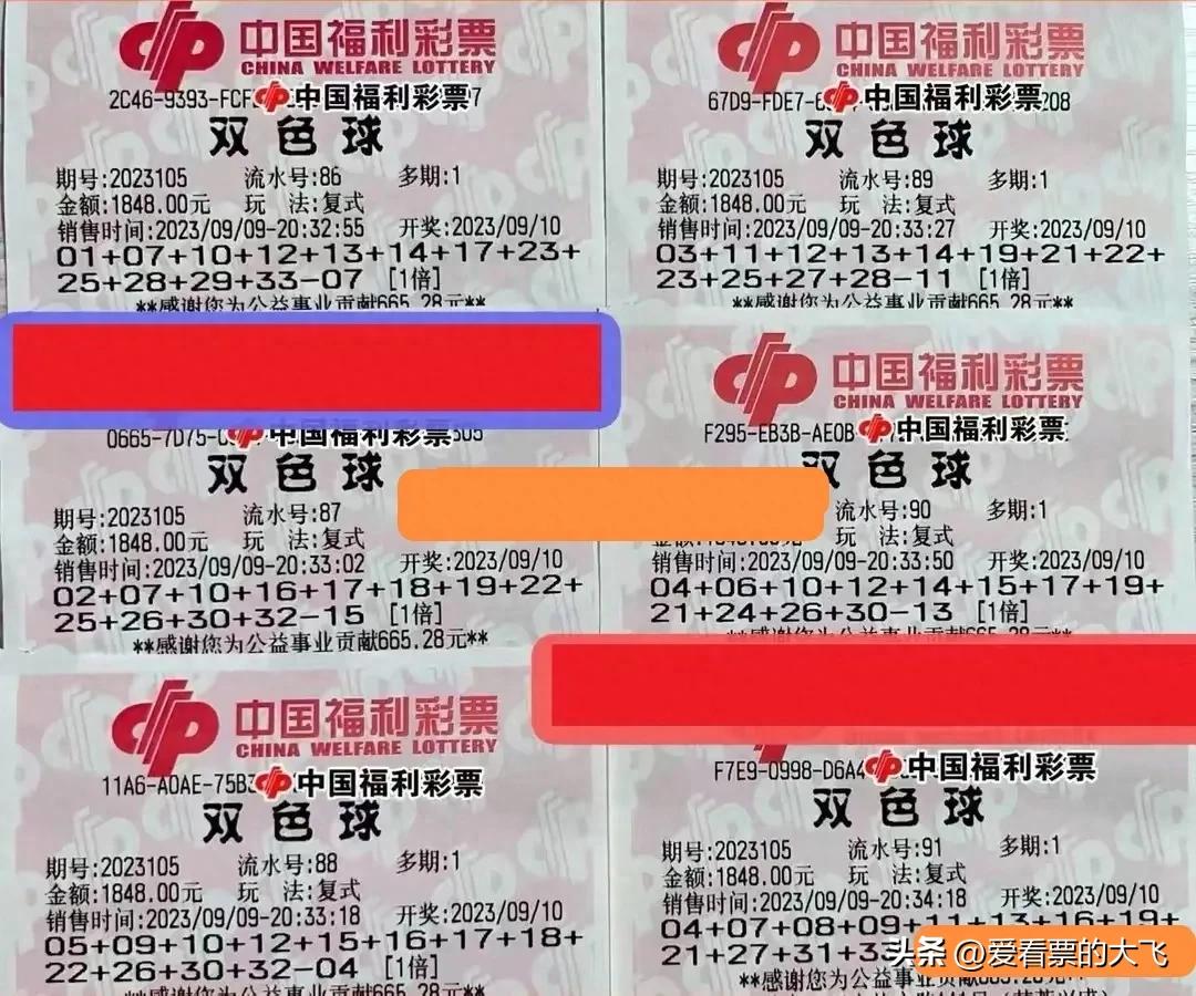 最新双色球开奖揭晓，幸运数字照亮梦想之路