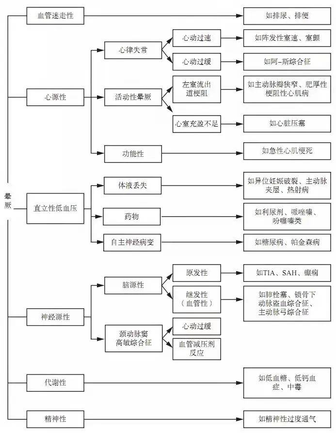 探索双色球50期走势，揭秘数字背后的奥秘