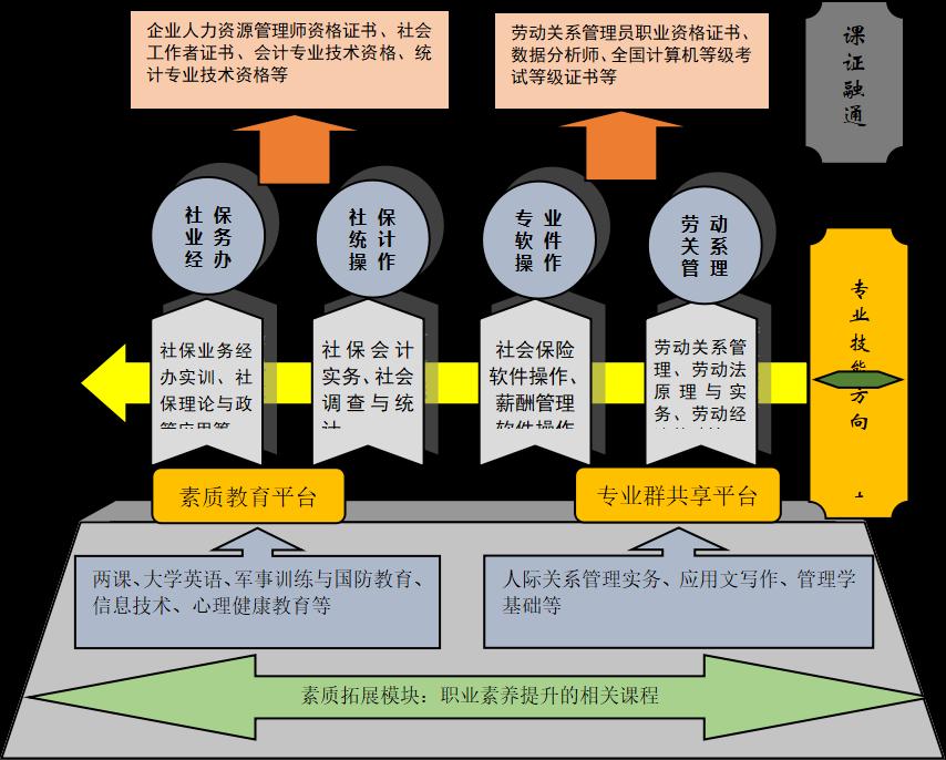 会计继续教育信息采集，提升专业素养，助力职业发展