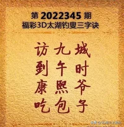 全国3D开奖结果查询，揭秘数字背后的乐趣与期待