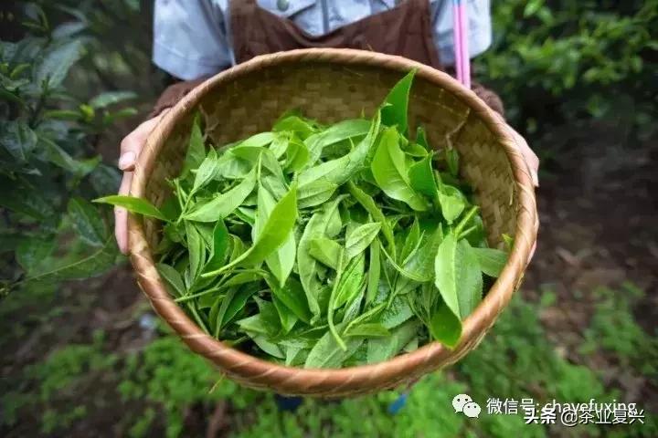 云南11选五复式表，解锁彩票新玩法，提升中奖概率的秘密武器