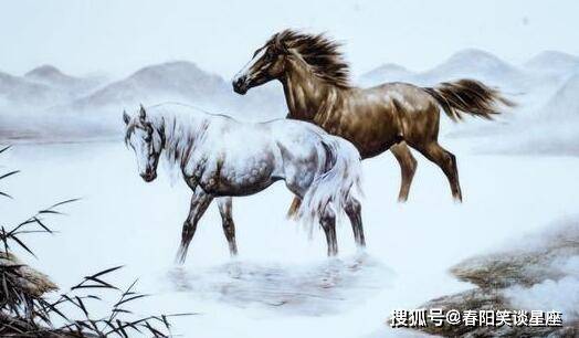 肖马同行，一萧二马的传奇故事一肖二马资料