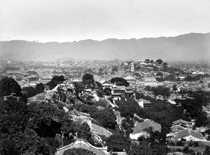 探索1876年彩票中奖的奥秘，揭秘CC码与特选号码1877cc8码中特好跑狗