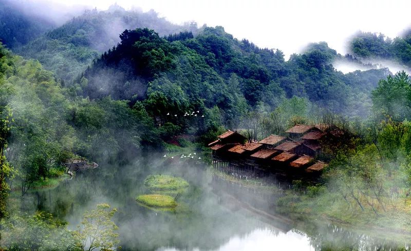 心灵净土