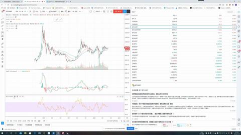 在文中提到的具体时间点——'明年') 的期待与憧憬