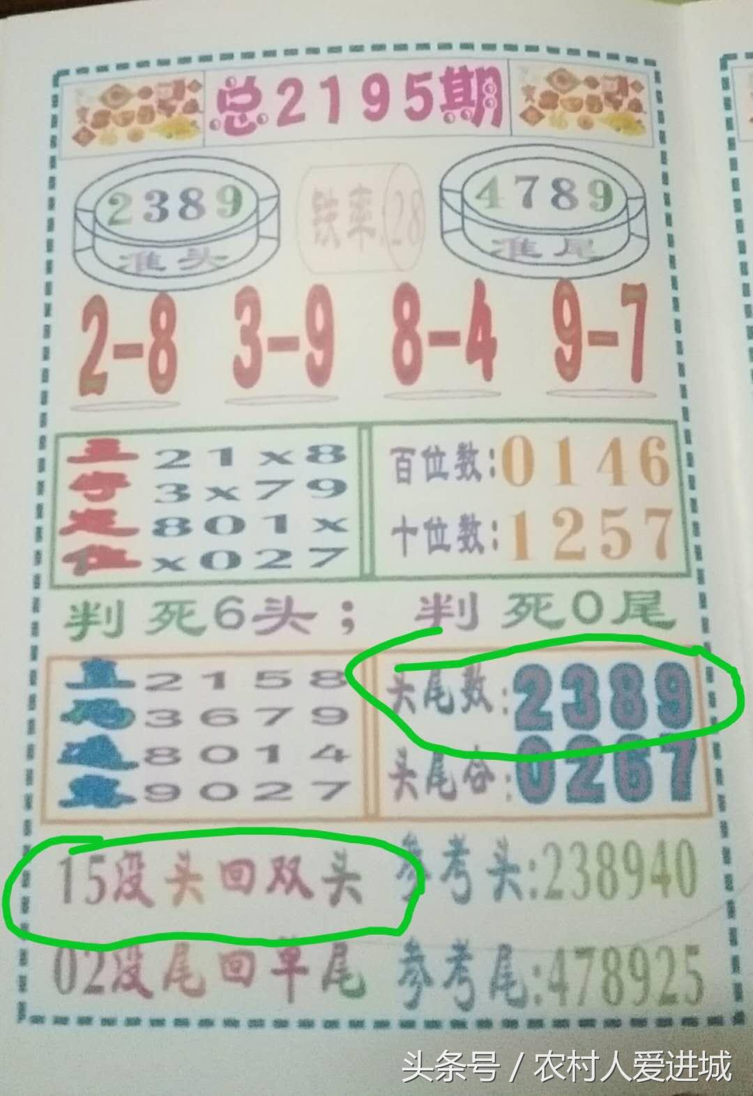 四肖期中准