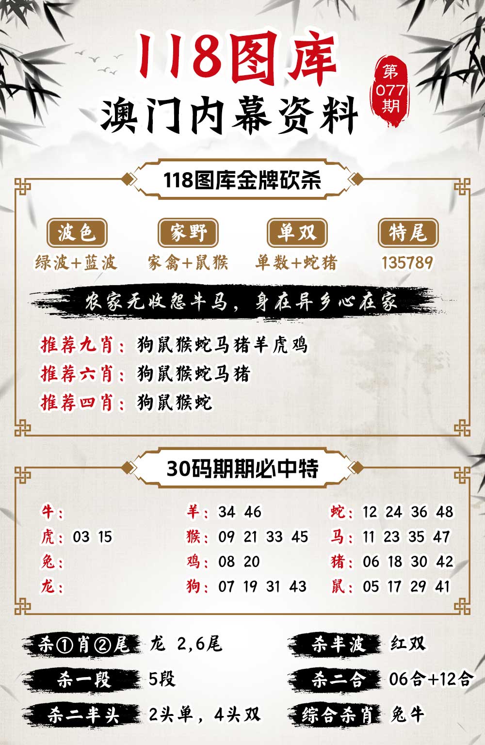 揭秘二四六天天玄机资料308，一场数字背后的神秘游戏二四六天天玄机资料308k每期