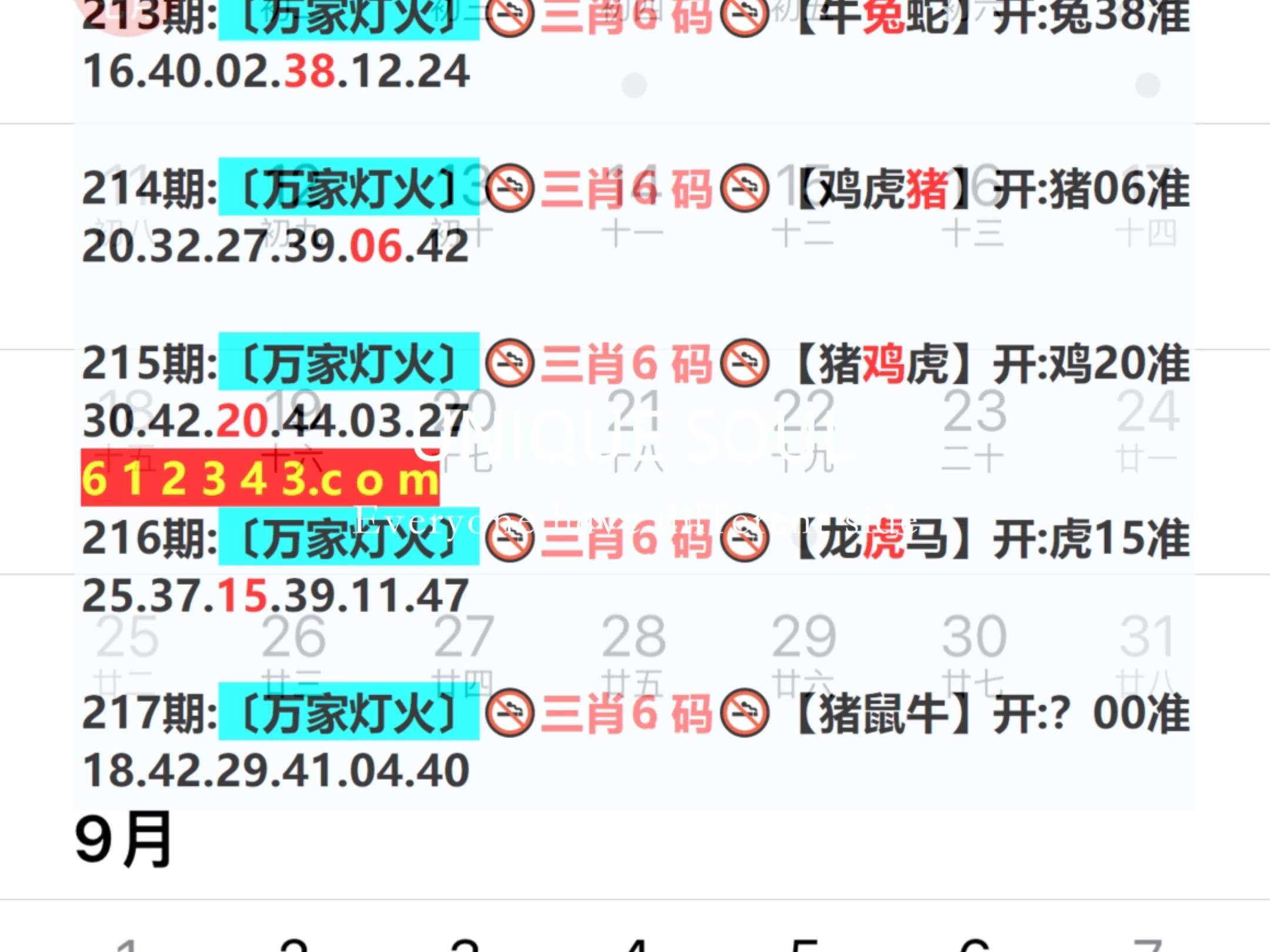 澳门精准一肖、二码及配套成龙，揭秘背后的技术与策略澳门精准一肖两码