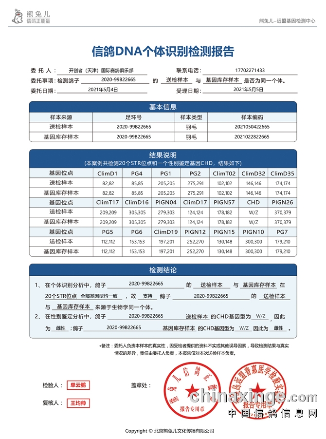 长期免费公开马料