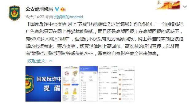 揭秘家彩网，网络购物的双刃剑家彩网专家预测最准确牛彩网