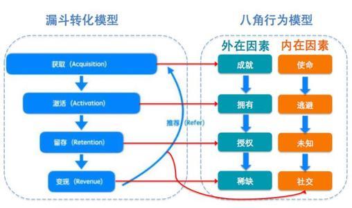 精准预测，尽在最准网站特马资料—揭秘彩票分析的奥秘最准的特马资料资料一