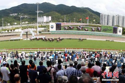 2019年香港马会内部免费资料，揭秘与解析香港马资料大全2019