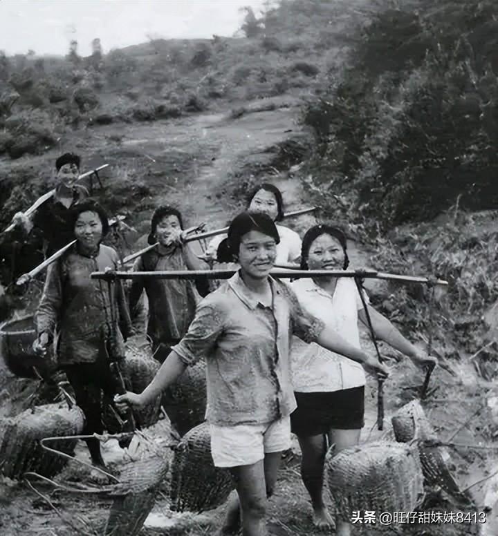 免费图库资源，探索49图的港澳L领域49图库免费的资料港澳大小
