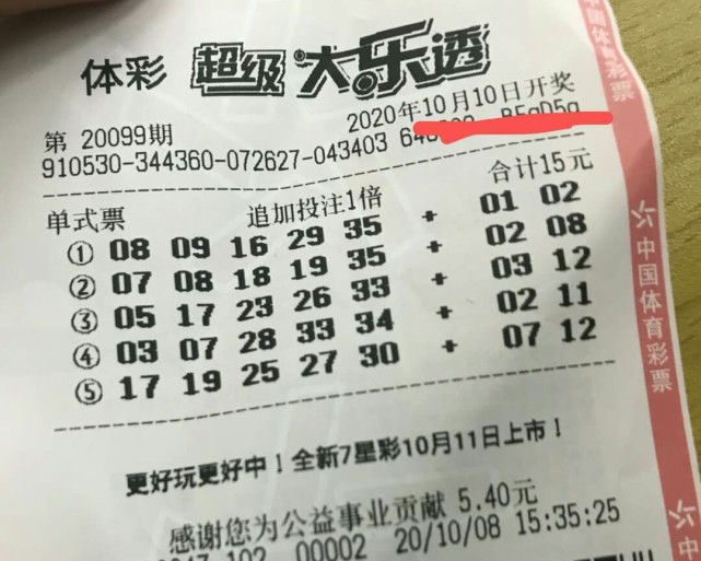 新澳门8月查询报告