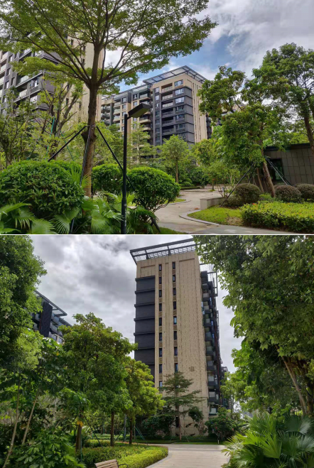 探秘新奥门312期,豪华住宅的性价比与投资潜力新奥门311期怎么样啊多少钱啊一平方米