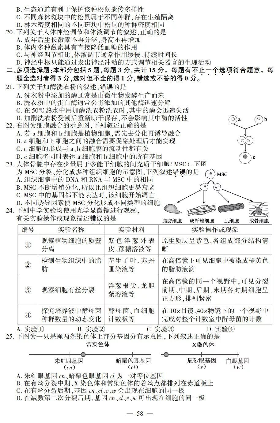 探秘新奥门319期开奖结果，最新消息与今日号码揭晓93期澳门彩开奖结果