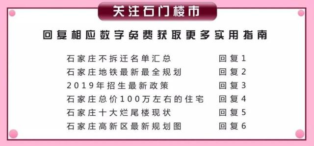 揭秘新奥门319期开奖结果，生肖探密之旅澳门311开奖记录