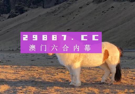 生肖揭晓
